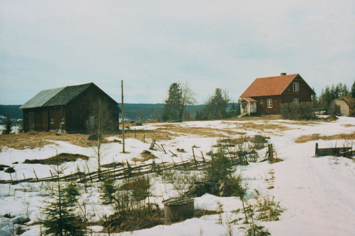 Kråkåsen i Nain